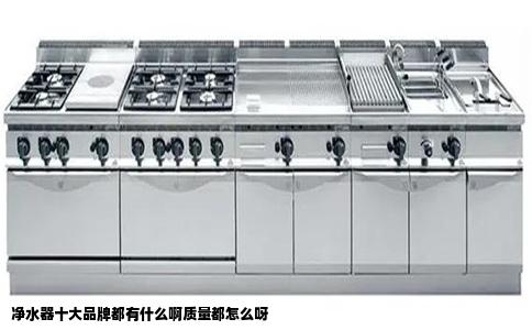 净水器十大品牌都有什么啊质量都怎么呀