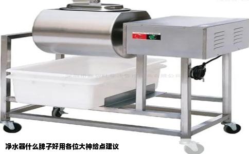 净水器什么牌子好用各位大神给点建议