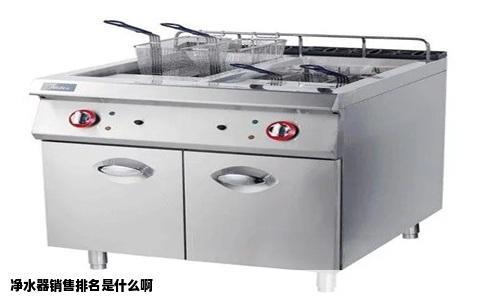 净水器销售排名是什么啊
