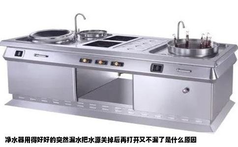 净水器用得好好的突然漏水把水源关掉后再打开又不漏了是什么原因