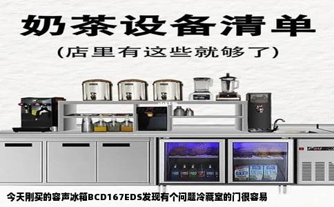 今天刚买的容声冰箱BCD167EDS发现有个问题冷藏室的门很容易