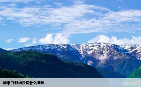 酒中的封坛是指什么意思