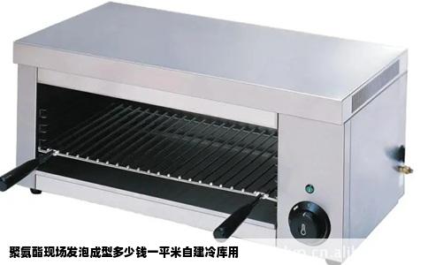 聚氨酯现场发泡成型多少钱一平米自建冷库用