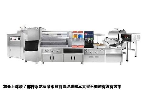 龙头上都装了那种水龙头净水器前置过滤器又太贵不知道有没有效果