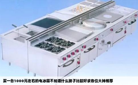 买一台1000元左右的电冰箱不知道什么牌子比较好求各位大神推荐