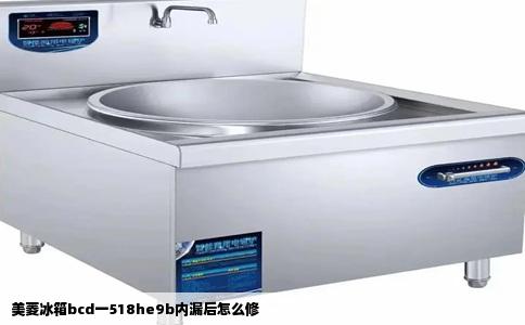美菱冰箱bcd一518he9b内漏后怎么修