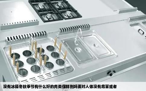 没有冰箱冬秋季节有什么好的肉类保鲜剂吗要对人体没有危害或者