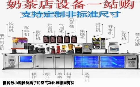 能释放小颗径负离子的空气净化器哪里有买