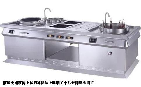 前些天刚在网上买的冰箱插上电响了十几分钟就不响了