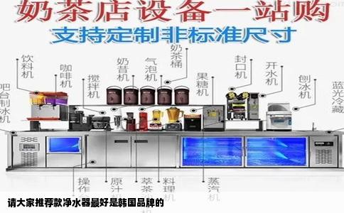 请大家推荐款净水器最好是韩国品牌的