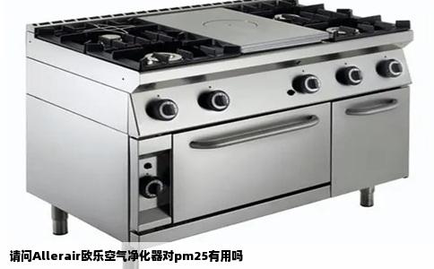请问Allerair欧乐空气净化器对pm25有用吗