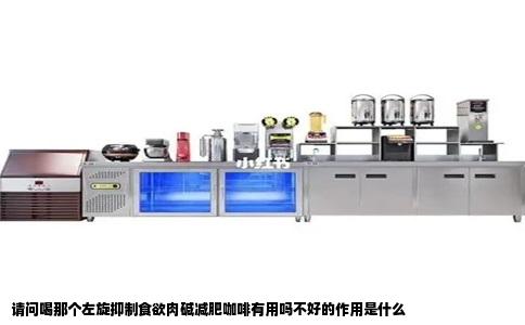 请问喝那个左旋抑制食欲肉碱减肥咖啡有用吗不好的作用是什么