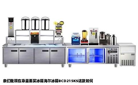 亲们我现在急需要买冰箱海尔冰箱BCD215KS这款如何