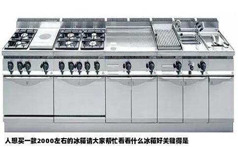 人想买一款2000左右的冰箱请大家帮忙看看什么冰箱好关键得是