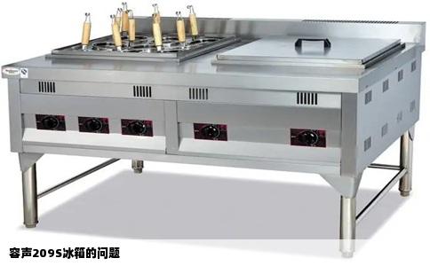 容声209S冰箱的问题