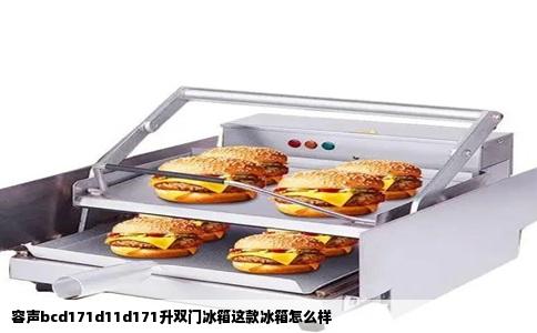 容声bcd171d11d171升双门冰箱这款冰箱怎么样