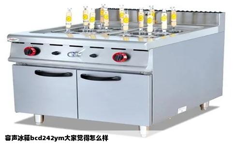 容声冰箱bcd242ym大家觉得怎么样