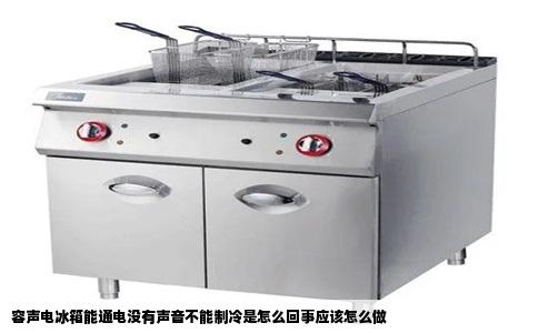 容声电冰箱能通电没有声音不能制冷是怎么回事应该怎么做