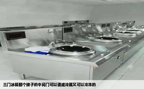 三门冰箱那个牌子的中间门可以调成冷藏又可以冷冻的