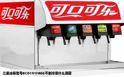 三星冰箱型号BCD191FNSE不制冷是什么原因