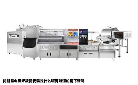 尚朋堂电磁炉故障代码是什么呢有知道的说下好吗