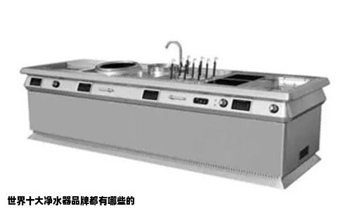 世界十大净水器品牌都有哪些的