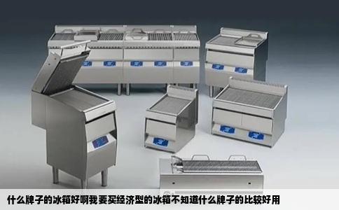 什么牌子的冰箱好啊我要买经济型的冰箱不知道什么牌子的比较好用