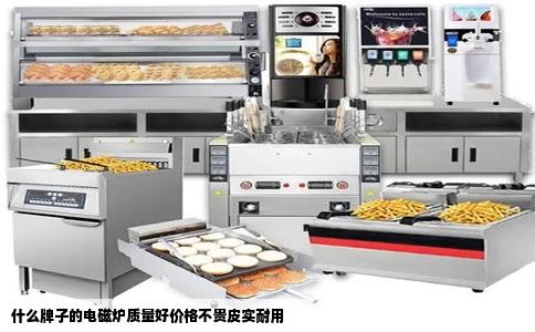 什么牌子的电磁炉质量好价格不贵皮实耐用