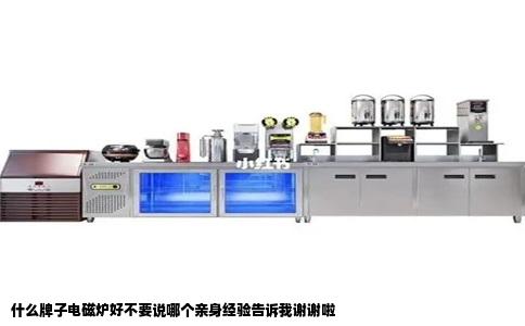 什么牌子电磁炉好不要说哪个亲身经验告诉我谢谢啦