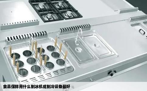 食品保鲜用什么制冰机或制冷设备最好