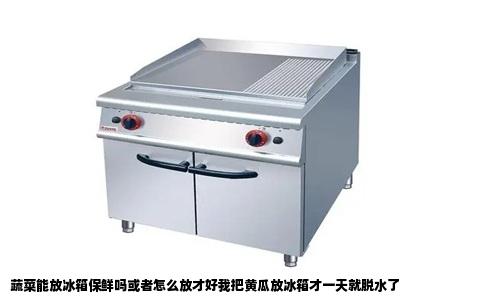 蔬菜能放冰箱保鲜吗或者怎么放才好我把黄瓜放冰箱才一天就脱水了