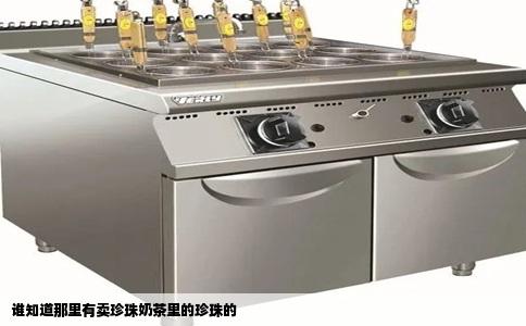 谁知道那里有卖珍珠奶茶里的珍珠的