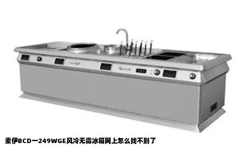 索伊BCD一249WGE风冷无霜冰箱网上怎么找不到了