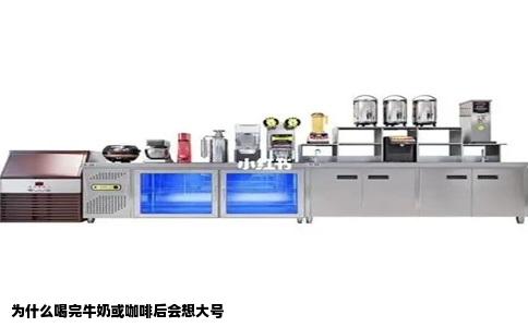 为什么喝完牛奶或咖啡后会想大号