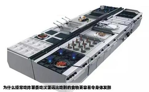 为什么经常吃炸薯条吃汉堡远比吃别的食物更容易令身体发胖