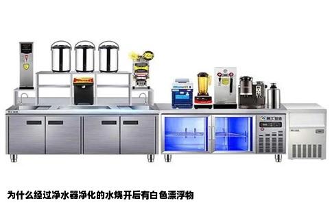 为什么经过净水器净化的水烧开后有白色漂浮物