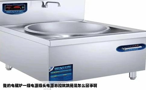 我的电磁炉一插电源插头电源总控就跳闸是怎么回事啊