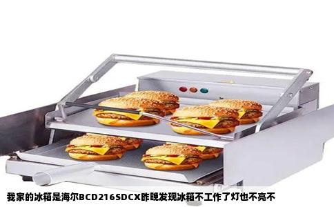 我家的冰箱是海尔BCD216SDCX昨晚发现冰箱不工作了灯也不亮不