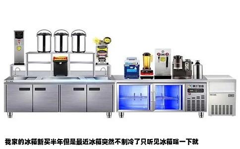 我家的冰箱新买半年但是最近冰箱突然不制冷了只听见冰箱嗡一下就