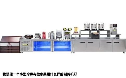 我想建一个小型冷库存放水果用什么样的制冷机好