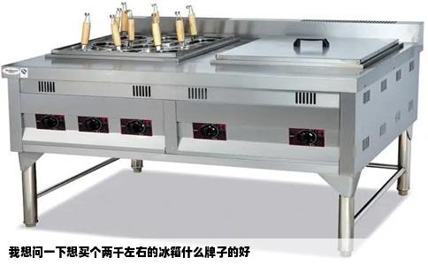 我想问一下想买个两千左右的冰箱什么牌子的好