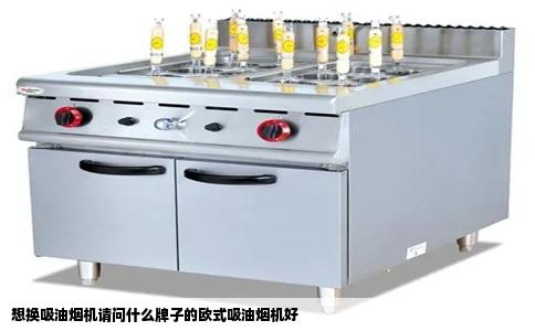 想换吸油烟机请问什么牌子的欧式吸油烟机好