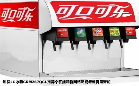 想买LG冰箱GRM267QGL推荐个在线购物网站吧或者谁有啥好的