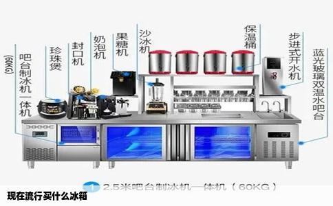 现在流行买什么冰箱