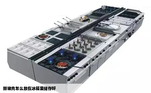 鲜猪肉怎么放在冰箱里储存好