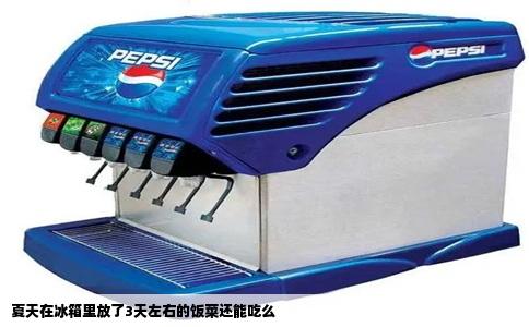 夏天在冰箱里放了3天左右的饭菜还能吃么