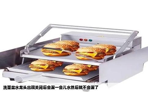 洗菜盆水龙头出现关闭后会漏一会儿水然后就不会漏了