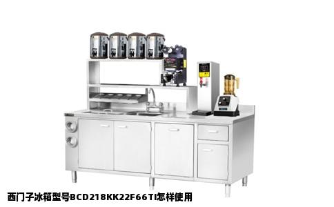 西门子冰箱型号BCD218KK22F66TI怎样使用