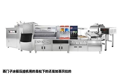 西门子冰箱压缩机用的是松下的还是加西贝拉的