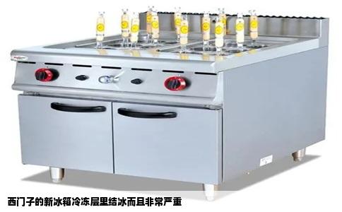 西门子的新冰箱冷冻层里结冰而且非常严重